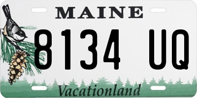 ME license plate 8134UQ