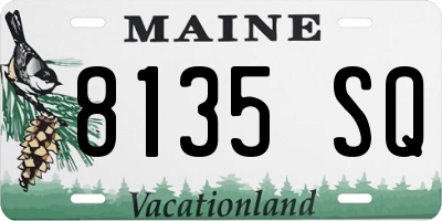 ME license plate 8135SQ