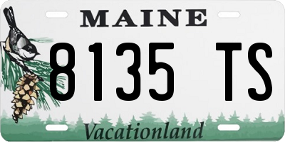 ME license plate 8135TS