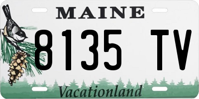 ME license plate 8135TV