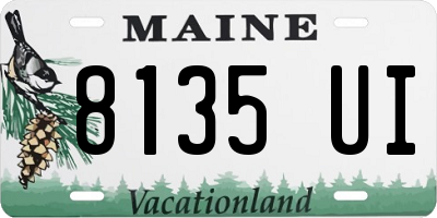 ME license plate 8135UI