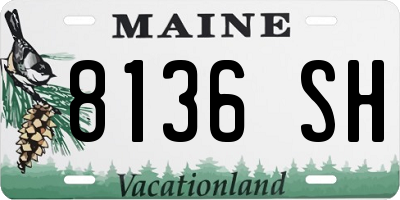 ME license plate 8136SH