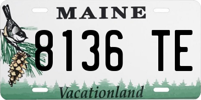 ME license plate 8136TE