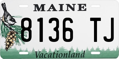 ME license plate 8136TJ