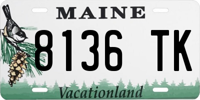 ME license plate 8136TK