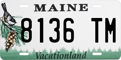ME license plate 8136TM