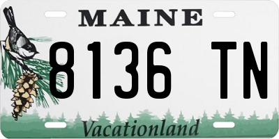 ME license plate 8136TN