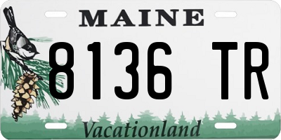 ME license plate 8136TR