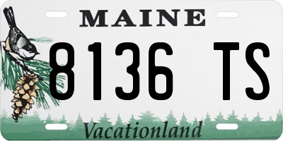 ME license plate 8136TS