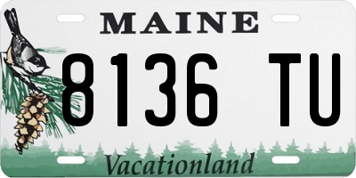 ME license plate 8136TU