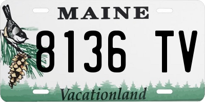 ME license plate 8136TV