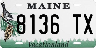 ME license plate 8136TX