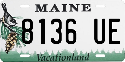 ME license plate 8136UE