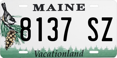 ME license plate 8137SZ