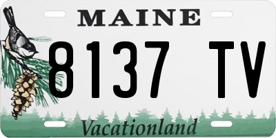 ME license plate 8137TV