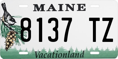 ME license plate 8137TZ