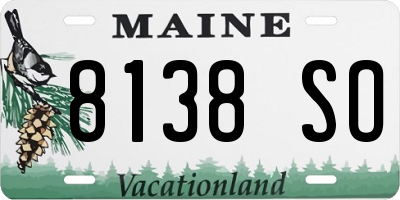 ME license plate 8138SO