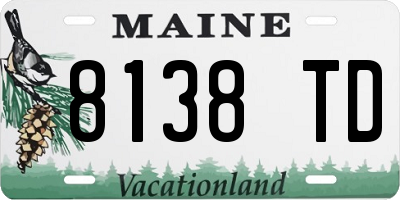 ME license plate 8138TD