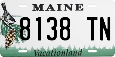 ME license plate 8138TN