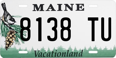 ME license plate 8138TU