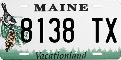 ME license plate 8138TX