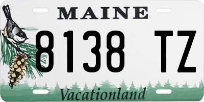 ME license plate 8138TZ