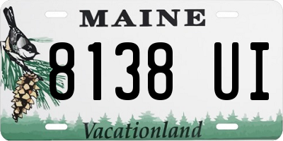 ME license plate 8138UI