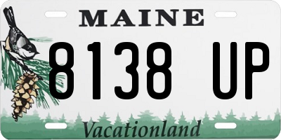 ME license plate 8138UP
