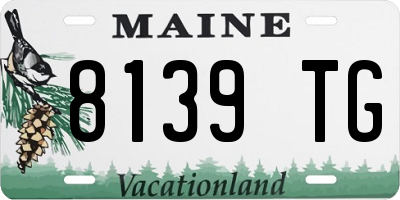 ME license plate 8139TG