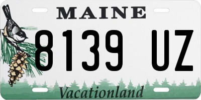 ME license plate 8139UZ