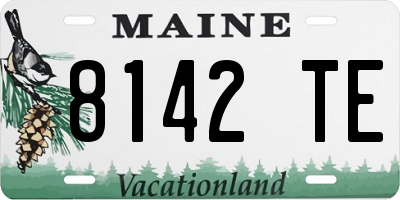 ME license plate 8142TE