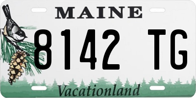 ME license plate 8142TG