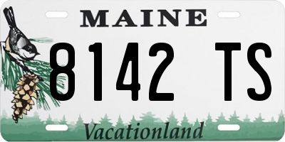 ME license plate 8142TS