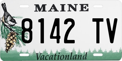 ME license plate 8142TV