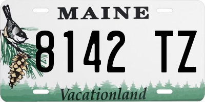 ME license plate 8142TZ