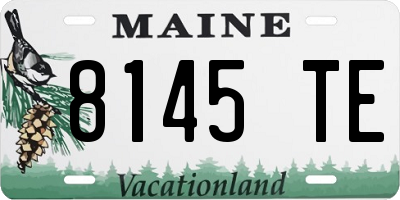 ME license plate 8145TE