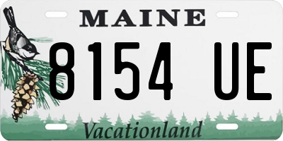 ME license plate 8154UE