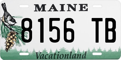 ME license plate 8156TB