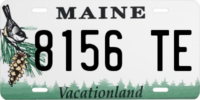 ME license plate 8156TE