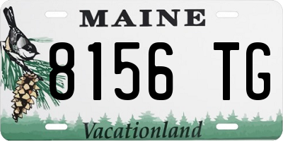 ME license plate 8156TG