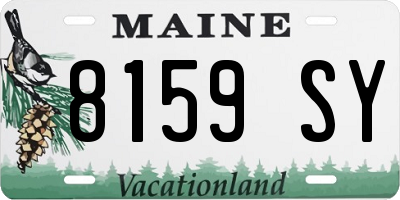 ME license plate 8159SY