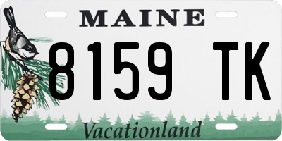 ME license plate 8159TK
