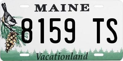 ME license plate 8159TS