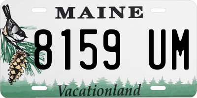 ME license plate 8159UM