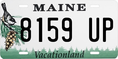 ME license plate 8159UP