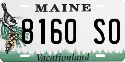 ME license plate 8160SO