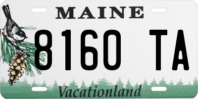 ME license plate 8160TA