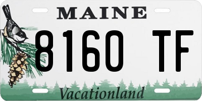 ME license plate 8160TF