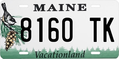 ME license plate 8160TK