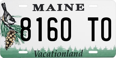 ME license plate 8160TO